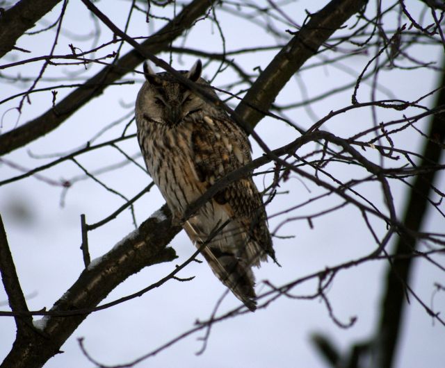 Wczytywanie Obrazu...