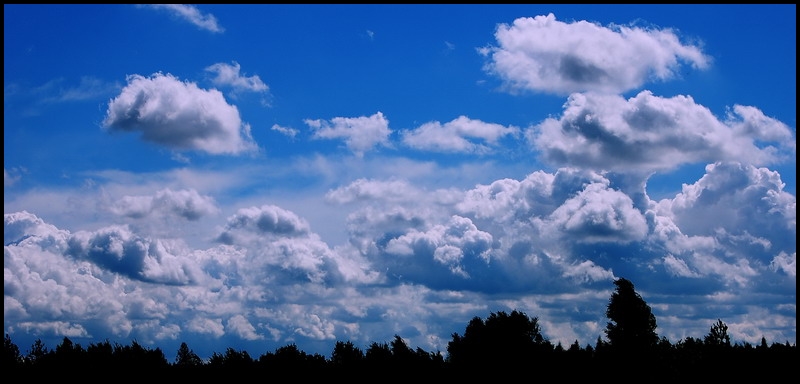 Wczytywanie Obrazu...