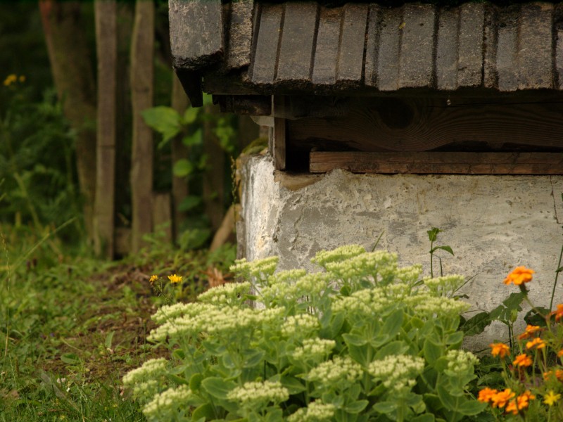 Wczytywanie Obrazu...