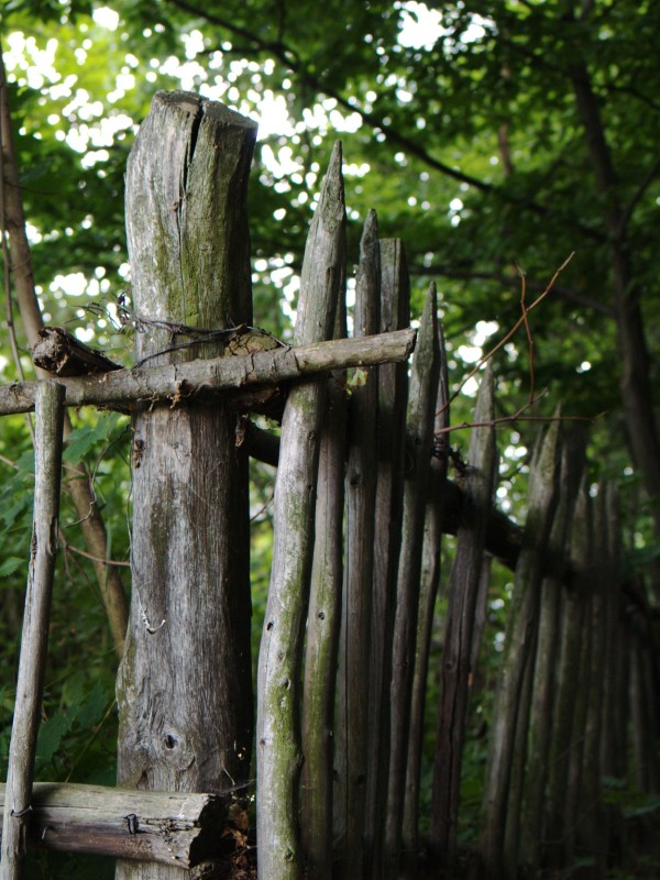 Wczytywanie Obrazu...