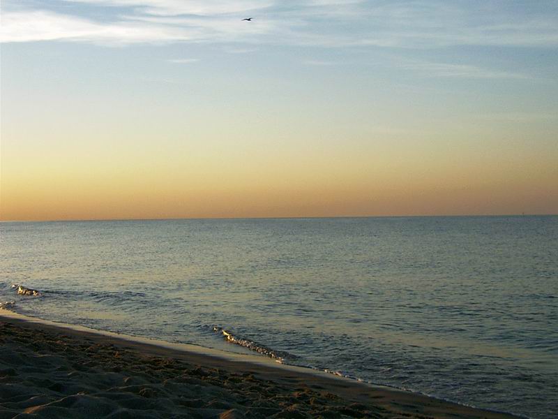 Wczytywanie Obrazu...