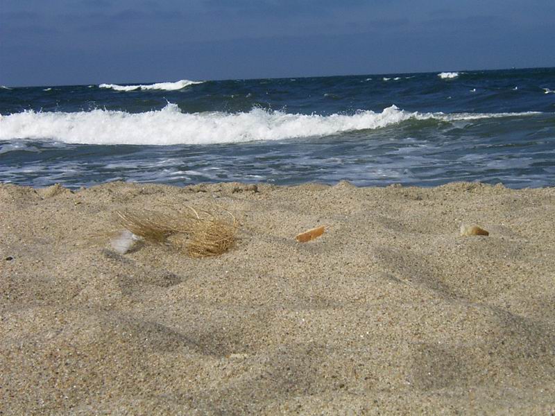 Wczytywanie Obrazu...