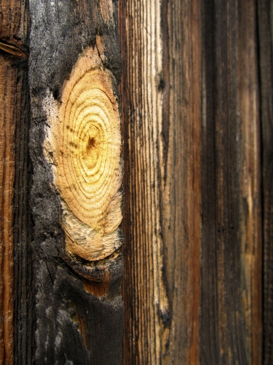 Wczytywanie Obrazu...