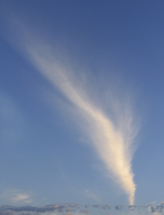 Wczytywanie Obrazu...