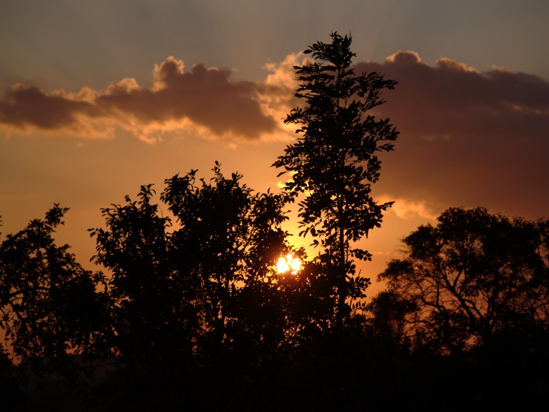 Wczytywanie Obrazu...