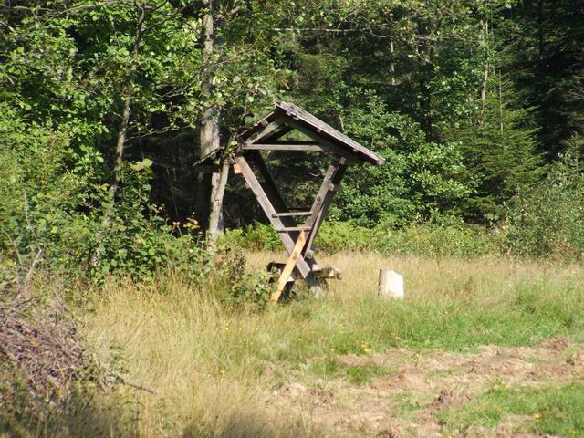 Wczytywanie Obrazu...