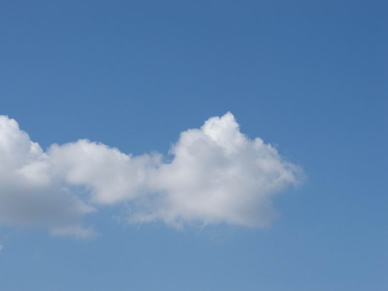 Wczytywanie Obrazu...