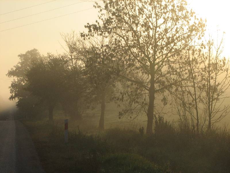 Wczytywanie Obrazu...