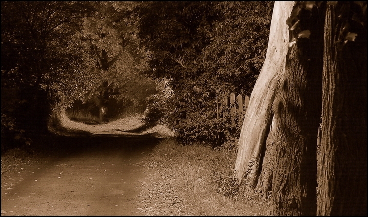 Wczytywanie Obrazu...