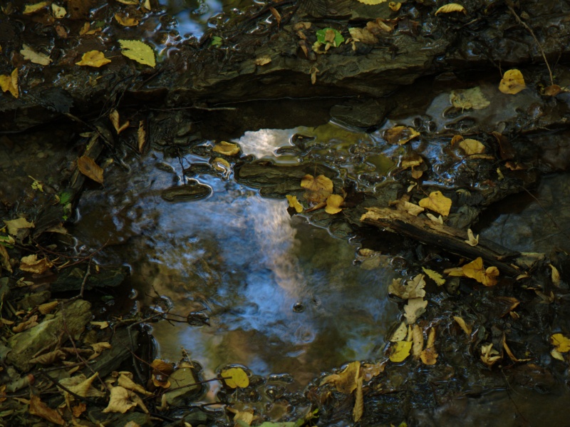 Wczytywanie Obrazu...