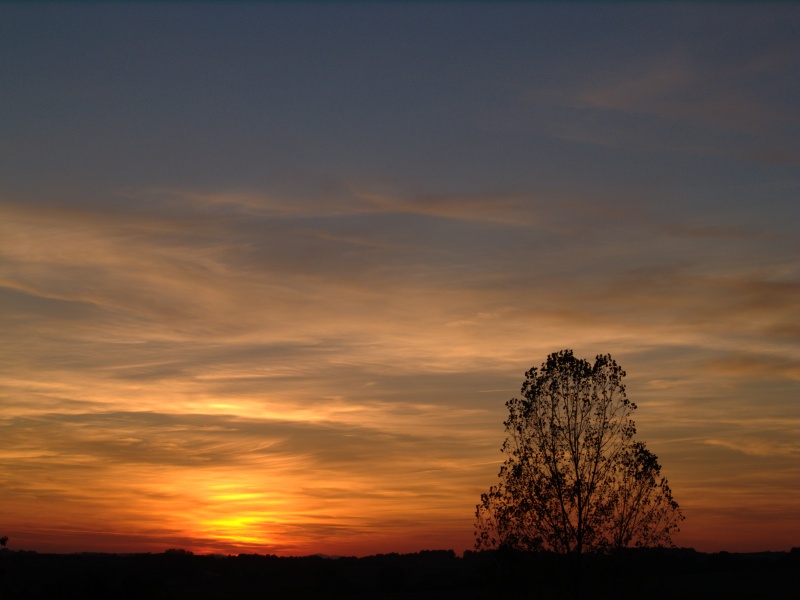 Wczytywanie Obrazu...