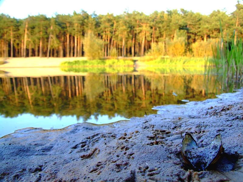 Wczytywanie Obrazu...