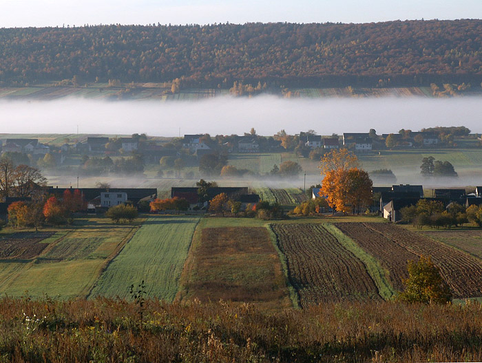 Wczytywanie Obrazu...