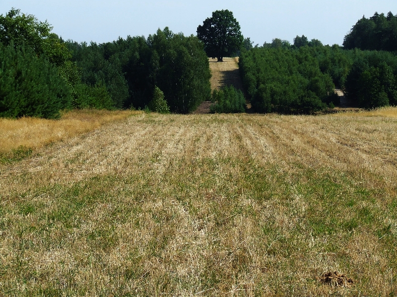 Wczytywanie Obrazu...