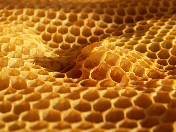 Wczytywanie Obrazu...