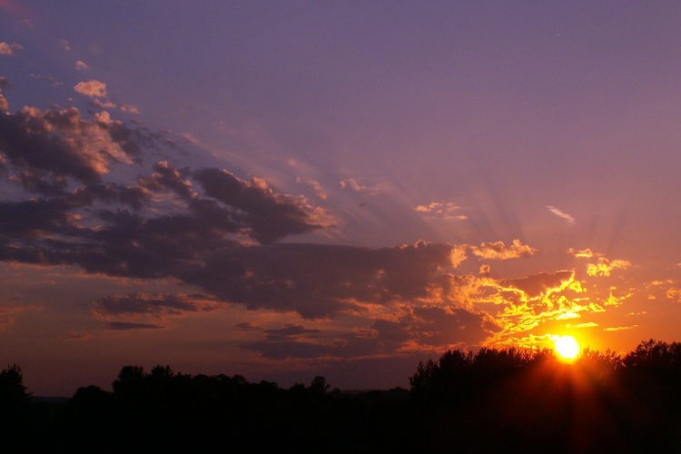 Wczytywanie Obrazu...