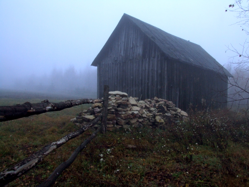 Wczytywanie Obrazu...