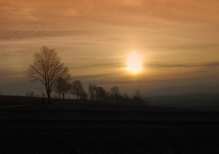 Wczytywanie Obrazu...